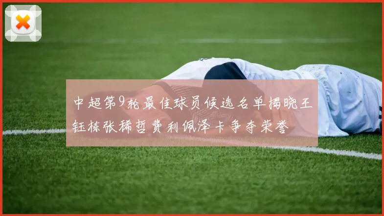 中超第9轮最佳球员候选名单揭晓王钰栋张稀哲费利佩泽卡争夺荣誉